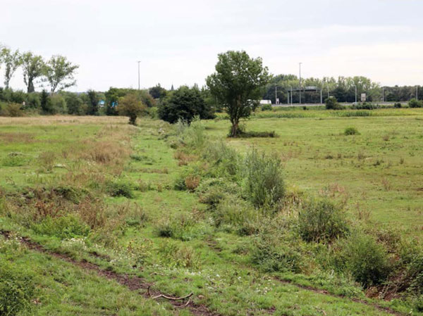 image de paysage
