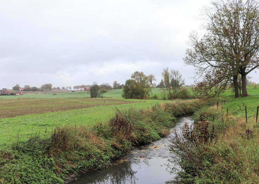 image de wateringue